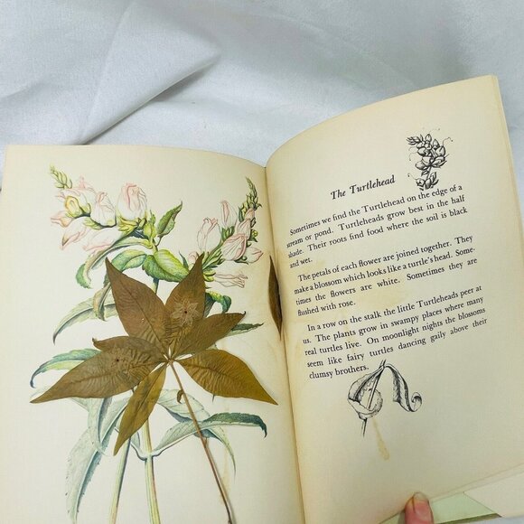 Book of Wildflower 1939 with Pressed Floral Lady Slipper  Margaret McKenny - Picture 10 of 11